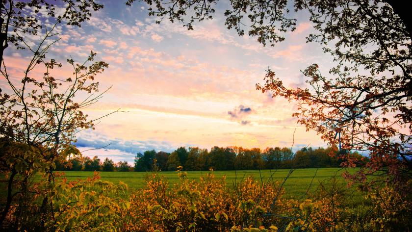 Holistic Anxiety Treatment Centers for Women