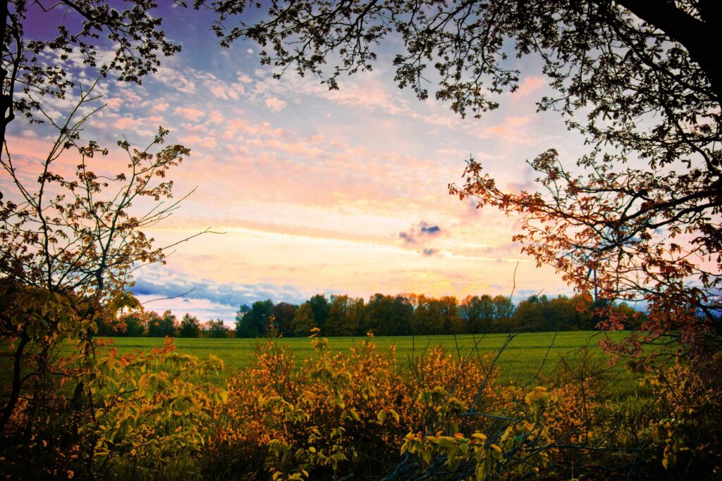 Holistic Anxiety Treatment Centers for Women