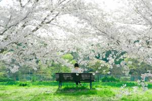 Mental Illness Treatment for Women