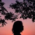 Exploring Women’s Trauma Treatment Centers for Specialized Recovery Support