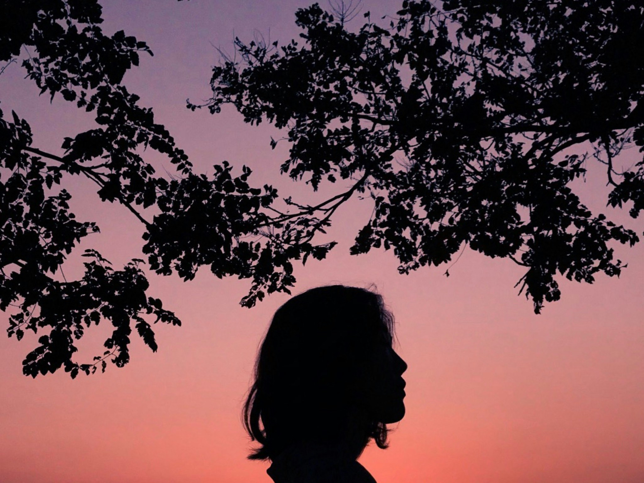 Women's Trauma Treatment Centers